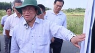 Ketua Komite Rakyat Provinsi An Giang, Ho Van Mung, melakukan survei di kawasan industri Thanh Loc.
