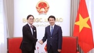 Wakil Menteri Luar Negeri Le Anh Tuan: Mempertahankan konsultasi hukum berkontribusi pada pendalaman hubungan Vietnam-Jepang.