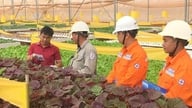 Jadwal Pemadaman Listrik Lam Dong dari 17-19 Juli 2026: Banyak area perumahan dan jalan akan mengalami pemadaman listrik selama 10 jam per hari.