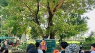 Mari kita bekerja sama untuk menjaga agar musim panas tetap aman bagi anak-anak.