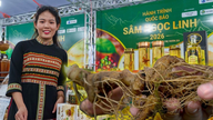 Malam yang meriah di festival Ginseng Ngoc Linh: Rasakan budaya dataran tinggi di jantung kota Da Nang.