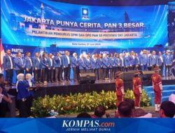 Zulhas Minta Publik Tak Remehkan Politikus Artis: Mereka Punya Talenta