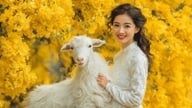 Ramalan bintang besok: 4 zodiak dengan pola pikir optimis, kemampuan beradaptasi tinggi, dan kebahagiaan seumur hidup tanpa memandang kekayaan atau kemiskinan.