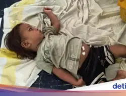 Bayi Ajaib Jadi Seleb Gegara Gigit Kobra Sampai Mati