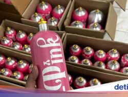 Bareskrim Panggil Selebgram yang Viral ‘Ngebalon’ Pakai Whip Pink