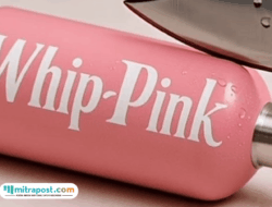 Viral Video 2 Selebgram Makassar Hirup Tabung Whip Pink Hingga Mabuk