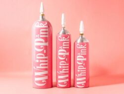 Bareskrim Periksa Selebgram Viral Pakai Whip Pink